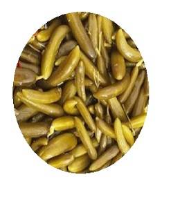 خیارشور سوپر ویژه فله